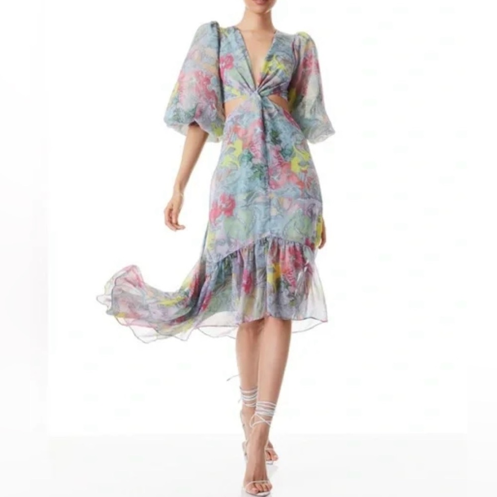 Alice + Olivia Katia Twist-Front Floral Cutout High Low Dress - Size 4